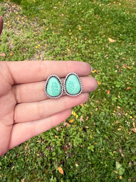 Sonoran studs
